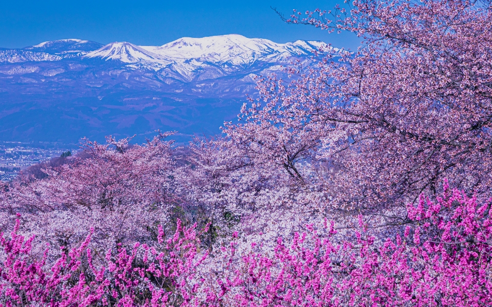 福島・二本松