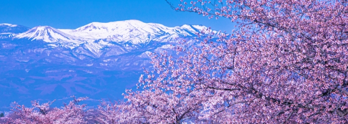 福島・二本松