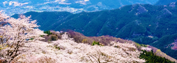 藤岡・磯部・妙義