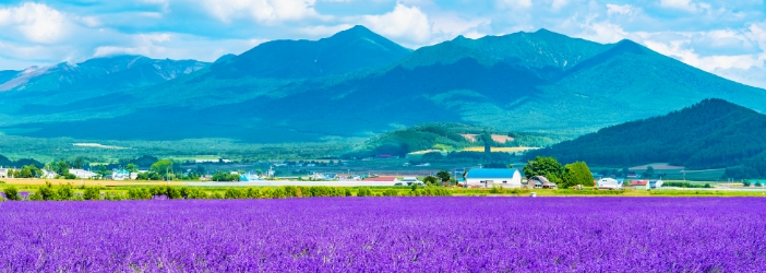 富良野・美瑛