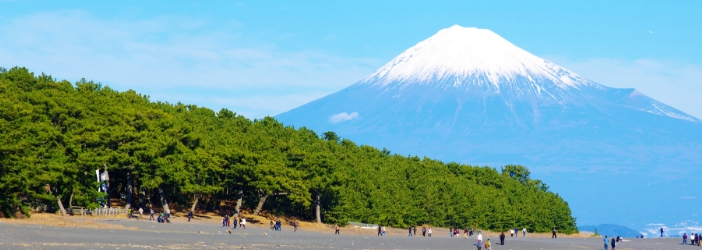 静岡・清水