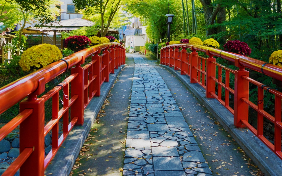 中伊豆・三島・修善寺