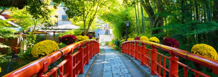 中伊豆・三島・修善寺