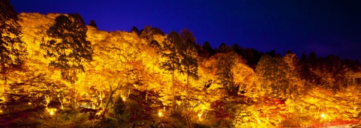 豊田・岡崎・安城