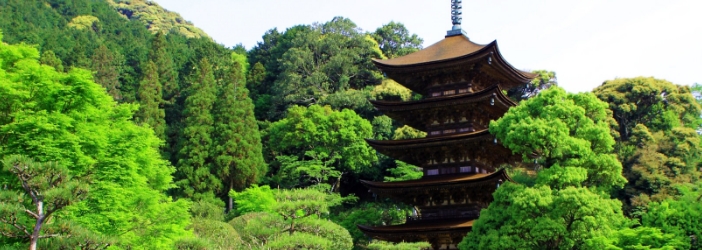 山口・防府・秋吉台