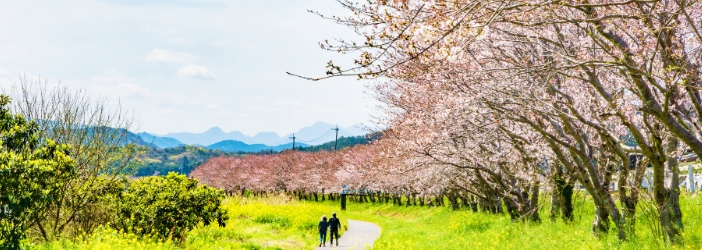 行橋・豊前