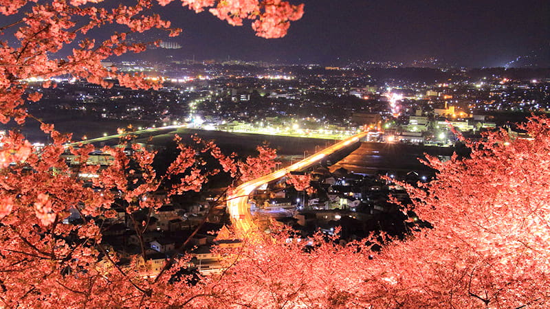 全国の桜 お花見観光名所選 国内旅行特集 トラベルコ